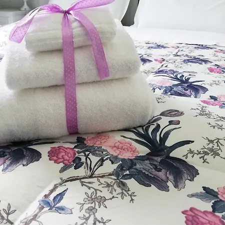 Casa Narciso アパート